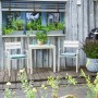 Sedia impilabile Prata con cuscino, mobili da balcone in alluminio color écru.
