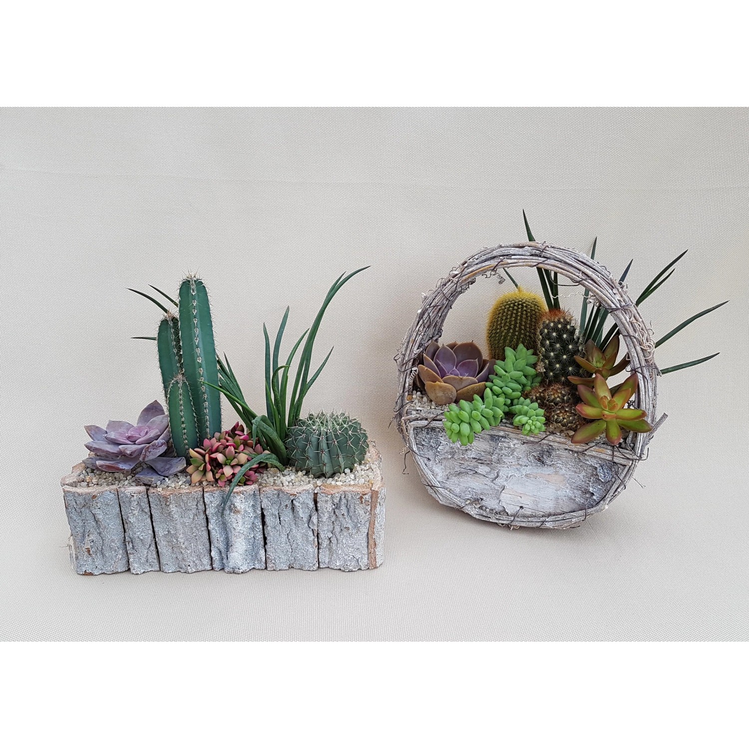 Vasi Pinguino Per Piante Grasse - 2 Pezzi Ceramica Con Foro Drenaggio
