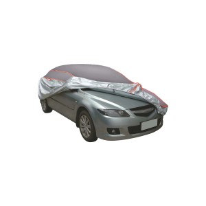 Auto con copertura antigelo t.b.t., colore argento.