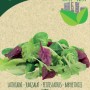 Semi biologici per insalata mista di Blumen, ideali per coltivare erbe aromatiche.