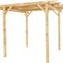 Carport/Tettoie per auto in legno con quattro pali e struttura del tetto.