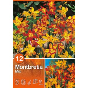Montbretia Mix: Mix colorato di bulbi estivi per aiuole e vasi.