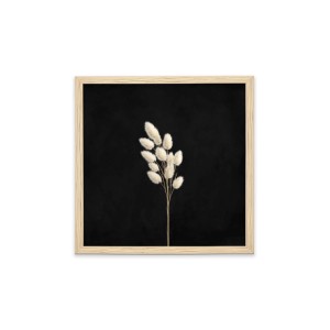 Stampa incorniciata 25x25 cm set pampas - foglie 2