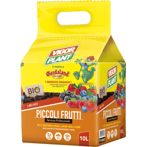 Sacco di Vigor Plant Terriccio per piccoli frutti, 10L, con fragole, lamponi e mirtilli.