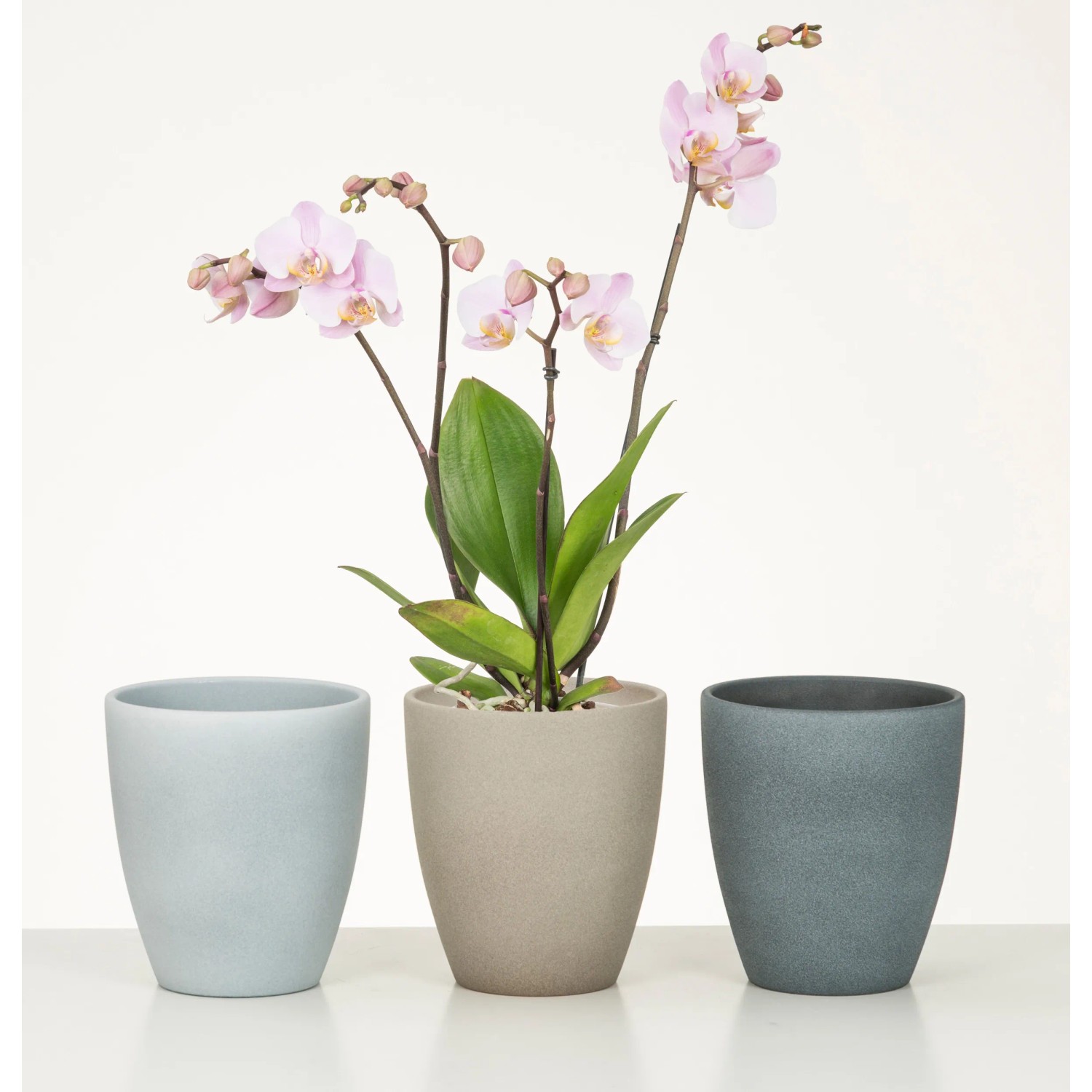 Vaso di fiori in plastica Aztek 255 mm, grigio chiaro, grigio