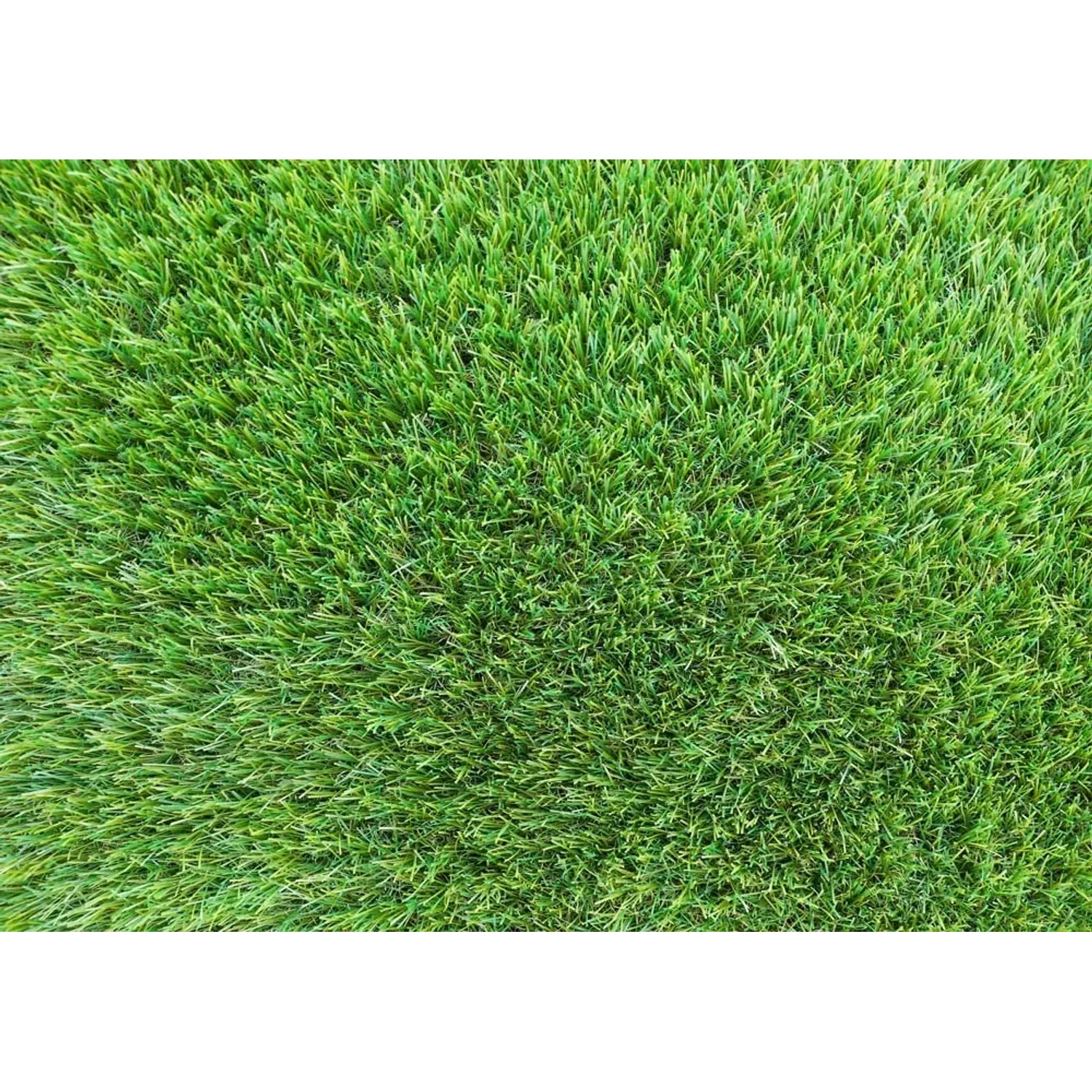 Primo piano di erba sintetica verde t.b.t.