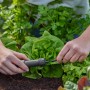 Gardena Unità base 1000 in uso: Sistema Micro-Drip per irrigazione giardino.