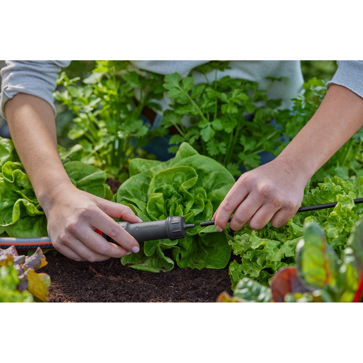 Gardena Unità base 1000 in uso: Sistema Micro-Drip per irrigazione giardino.