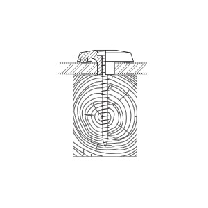 Disegno di una vite con rondella di tenuta nel legno per pannelli in plastica.