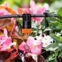 Primo piano di gocciolatore Claber Microirrigazione in uso. Irrigazione giardino.
