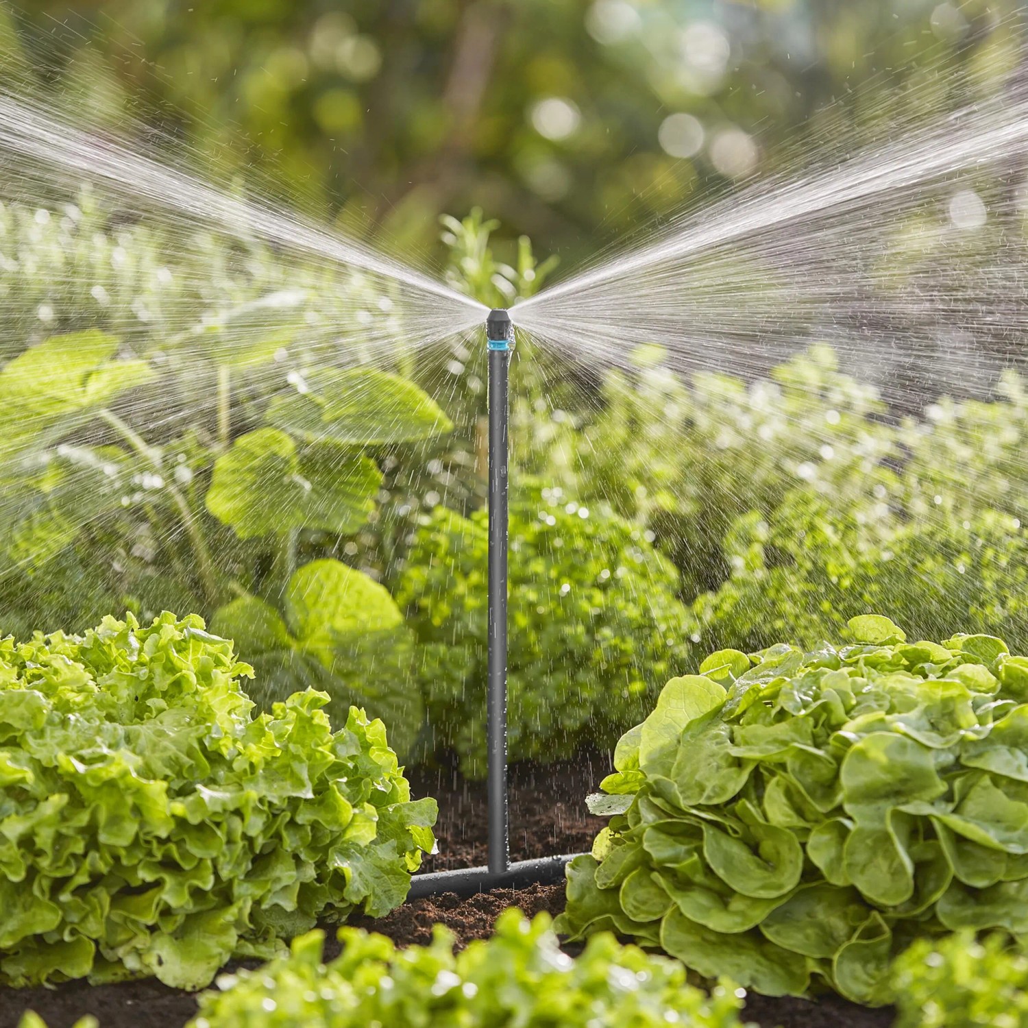 Tubo di prolunga Gardena da 20 cm per ugelli a spruzzo nel sistema Micro-Drip durante l'irrigazione del giardino.