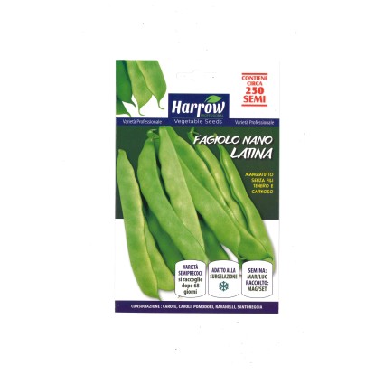 Semi orto Harrow Fagiolo Latina 250