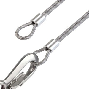 Cavo metallico con moschettone, parte della categoria Altre catene.