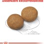 Due crocchette di Royal Canin Medium Adult cibo secco per cani, su misura per cani di taglia media.