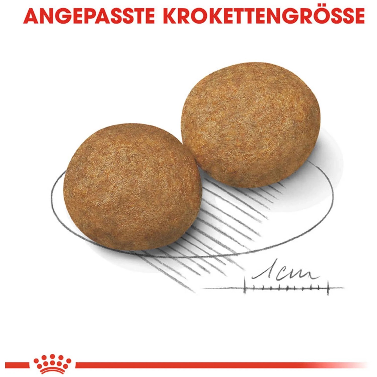 Due crocchette di Royal Canin Medium Adult cibo secco per cani, su misura per cani di taglia media.