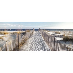Quadri: Sentiero verso la spiaggia con staccionata di legno nella sabbia.