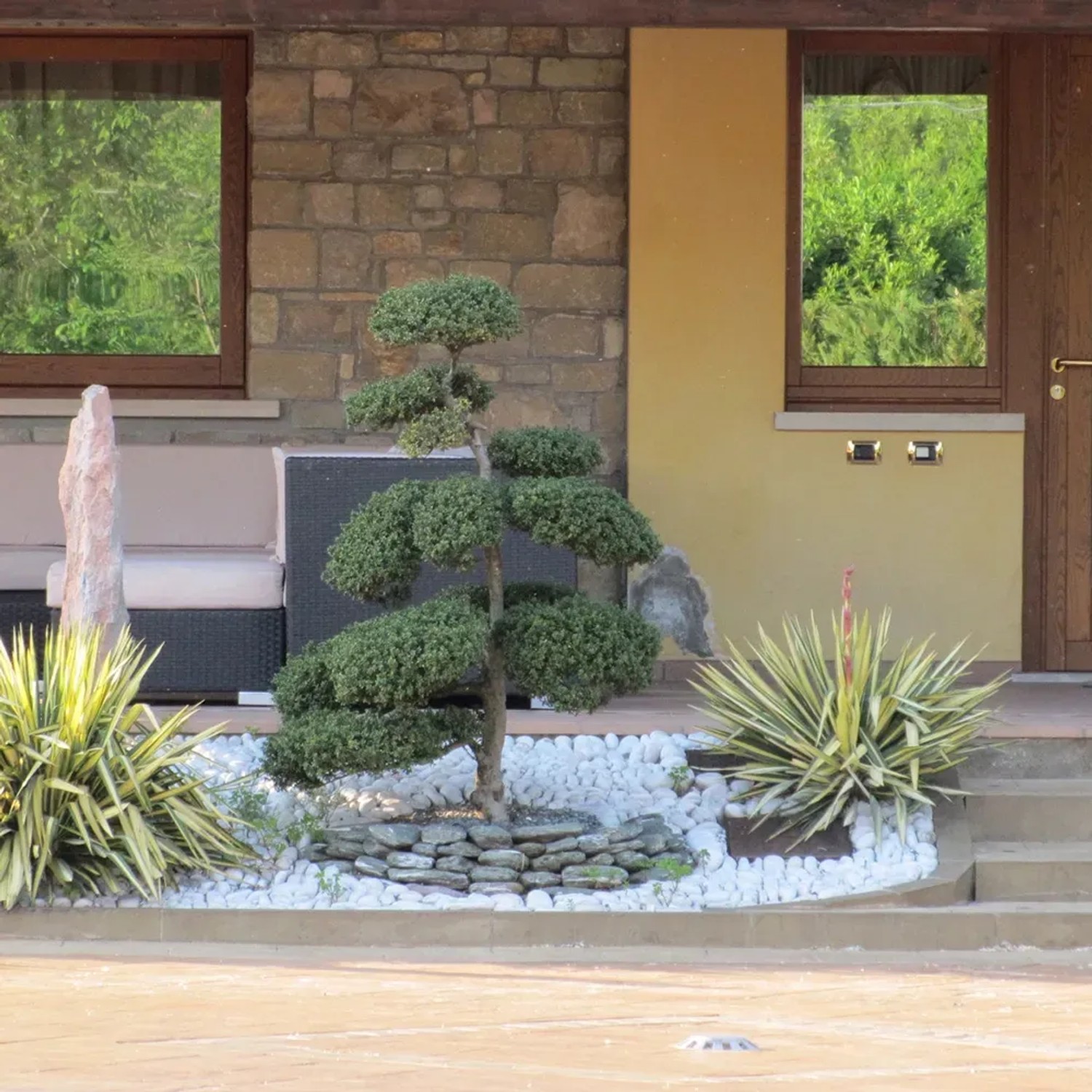 Giardino con albero ornamentale, ciottoli decorativi bianchi e graniglia davanti al muro di casa.