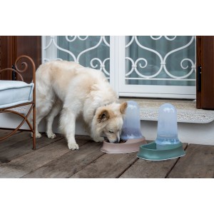 Cane mangia da distributore di cibo marrone, accanto distributore d'acqua verde. T.b.t.