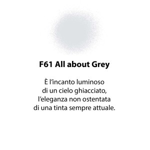 Campione colore "All about Grey": Pittura grigia per il fai-da-te.