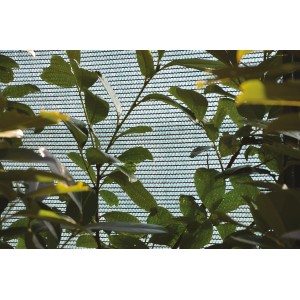 Schermo ombreggiante/privacy verde t.b.t. dietro le piante, primo piano.