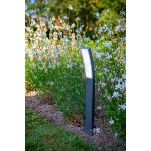 Lutec Kira lampada da vialetto a LED antracite (74 cm) in giardino tra i fiori.