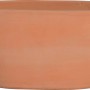Vaso ovale in terracotta per piante, aspetto naturale.