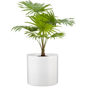 Scheurich portavaso 828 Panna, Ø 14 cm, in ceramica con scanalature, per interni.