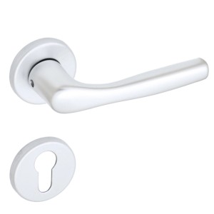 Set maniglia per porta t.b.t., color argento, rosetta inclusa.