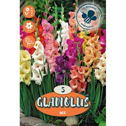 Bulbi da fiore Gladiolus Mix