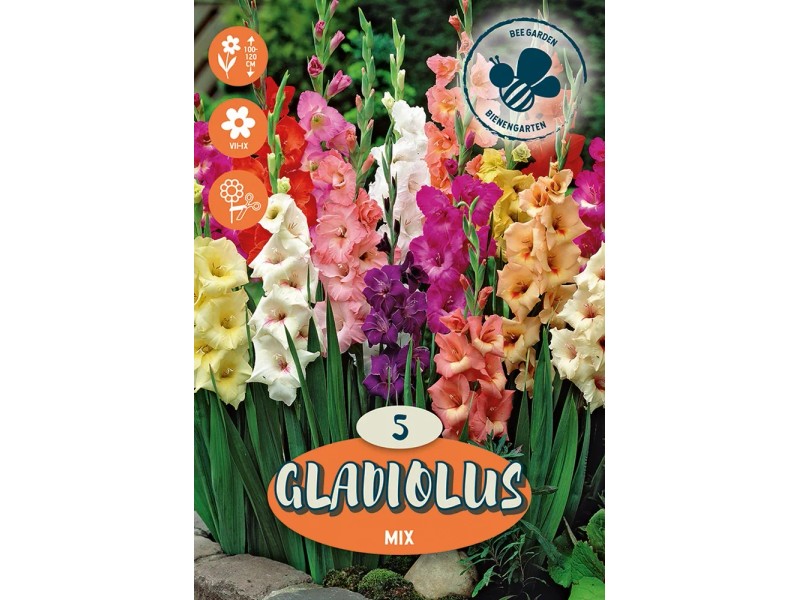10 Bulbi Gladioli MIX - Fiori Da Piantare, Colori Vari, Per Giardino O Vaso - Foto 12