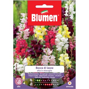 Semi di fiori Bocca di Leone, mix di colori.