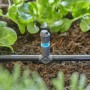 Connettore per irrigazione t.b.t. in aiuola con piante.