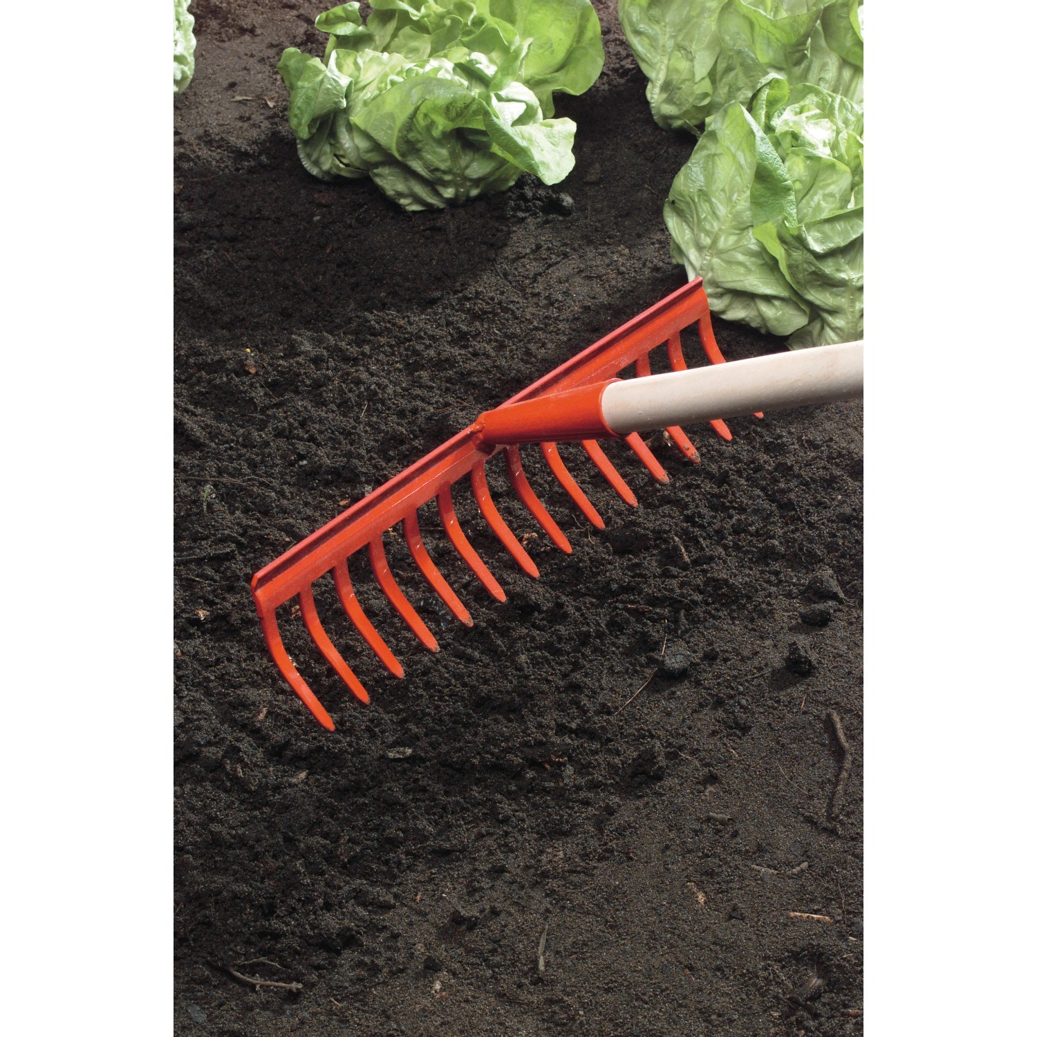 Rastrello da giardino con 14 denti e manico in legno in uso su un'aiuola con piante di lattuga.