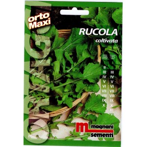 Confezione di semi di rucola (t.b.t.) per la coltivazione di ortaggi in giardino.