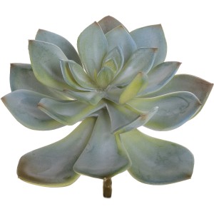 t.b.t. Pianta grassa artificiale, verde-grigiastro, per vasi decorativi e fioriere.