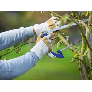 Persona che pota un albero indossando guanti da lavoro marroni e beige taglia 10.