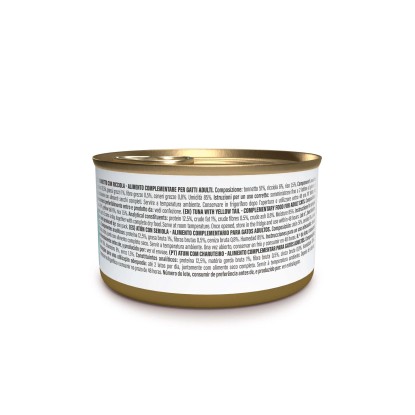 Cibo umido per gatti Schesir Tonnetto ricciola filetti jelly 12x70g