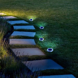 Risultato immagine per t.b.t. luci segnapasso in giardino, incassate nel prato lungo un sentiero di pietra.
