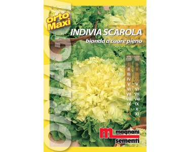 SEMI RUCOLA SELVATICA MAXI ORTO BLUMEN