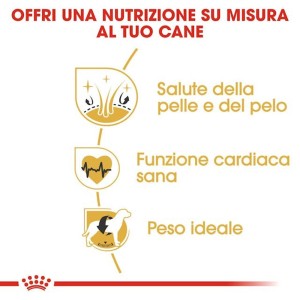 Grafica sui benefici del cibo secco per cani t.b.t.: pelle, cuore e peso.