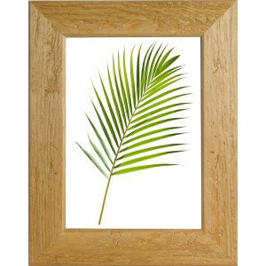 Cornice in legno con motivo a foglia, adatta per foto e stampe artistiche.