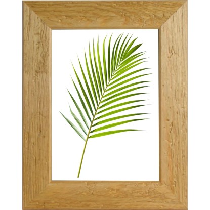 Cornice da muro Warren noce chiaro 18x24 cm