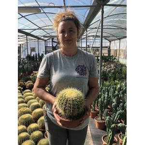 Donna che tiene cactus t.b.t. (categoria Cactus) in vaso.