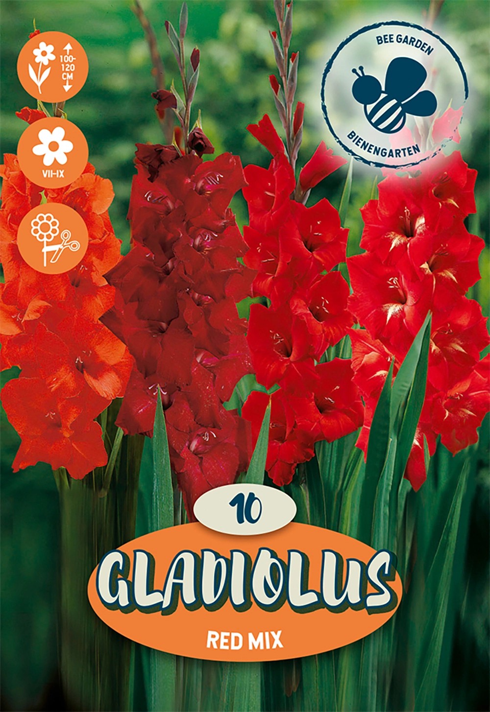 10 Bulbi Gladioli MIX - Fiori Da Piantare, Colori Vari, Per Giardino O Vaso - Foto 10