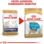 Royal Canin Chihuahua Puppy cibo secco, confezione da 1,5 kg, nuovo look.