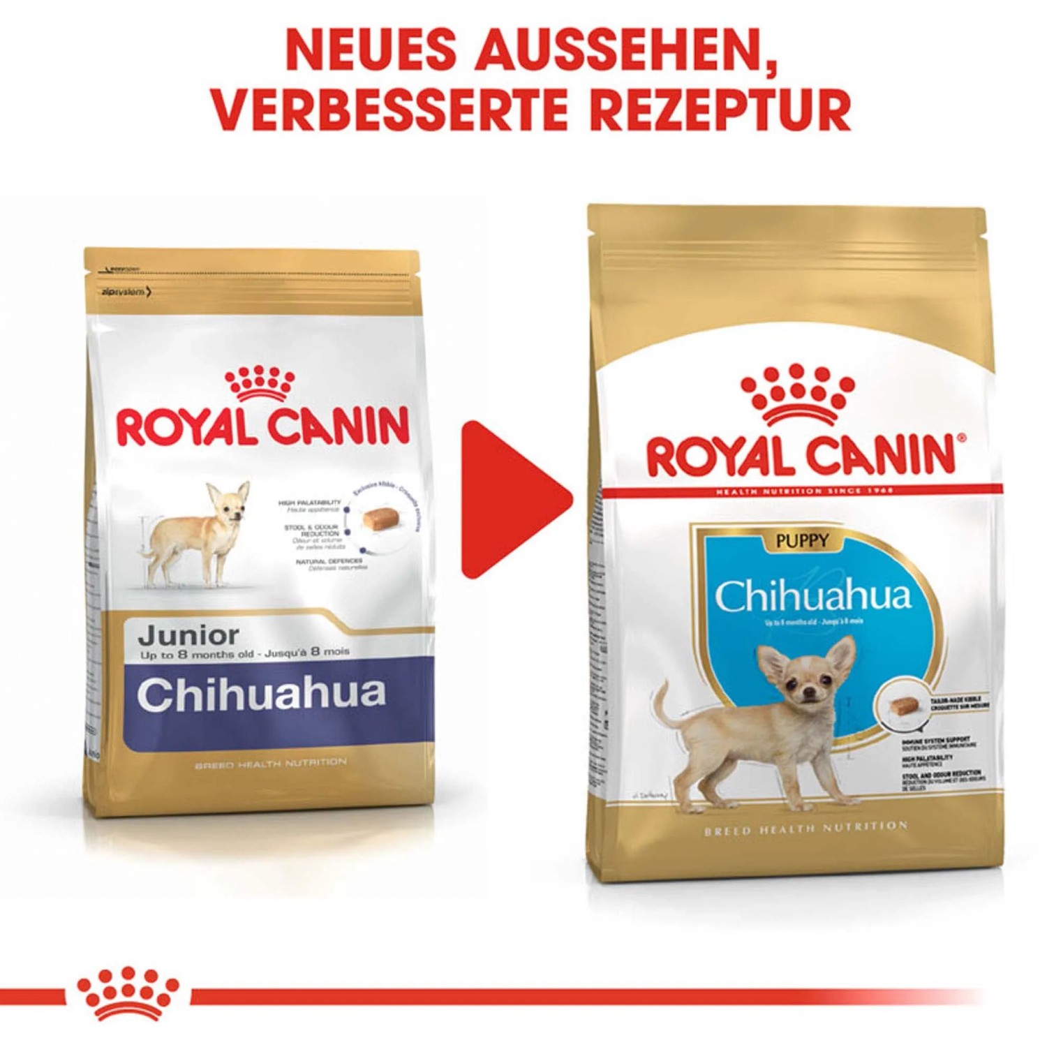 Royal Canin Chihuahua Puppy cibo secco, confezione da 1,5 kg, nuovo look.