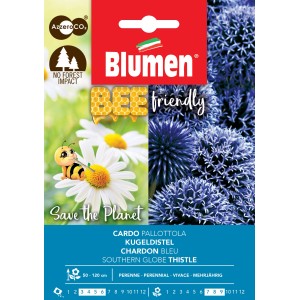 Confezione di semi di Echinops 'Blumen': Pianta ornamentale blu amica delle api per il giardino.