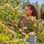 Donna che pota rose con cesoie bypass Gardena PremiumCut Flex. Strumento per tagli precisi.