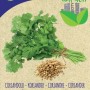 Semi di coriandolo biologici di Blumen per erbe aromatiche.