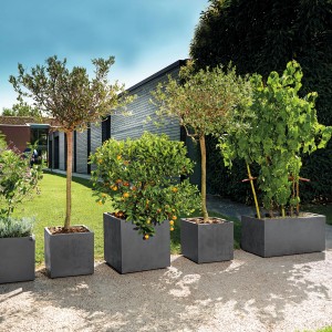 Fila di vasi Deroma Cubo Millennium antracite con diverse piante.